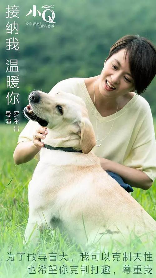 FachhochschulePinneberg毕业证